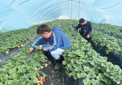 甘肅西和縣 引種特色農產品 助推農業轉型 水產養殖煥新機